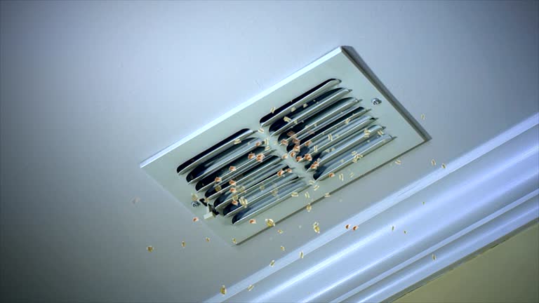 Best Air Duct Cleaning Near Me  in Silver Hill, MD